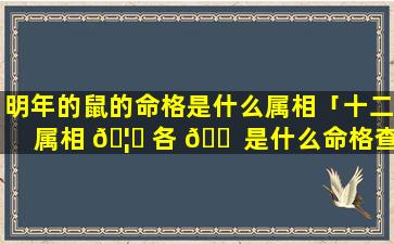 明年的鼠的命格是什么属相「十二属相 🦄 各 🐠 是什么命格查询表」